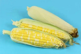 Những thực phẩm tránh kết hợp với ngô