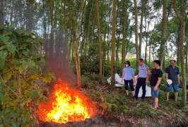 Phạt cơ sở kinh doanh gần 1,5 tạ thực phẩm đông lạnh không rõ nguồn gốc