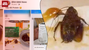 Hết giòi đến gián: Bữa ăn kinh hoàng của nhiều người