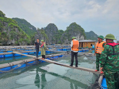 Bão số 3 Wipha đạt cấp cực đại: Biên phòng Quảng Ninh phát thông báo khẩn