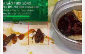 Xử phạt nhà hàng tại Quy Nhơn bị thực khách phát hiện có gián trong món ăn