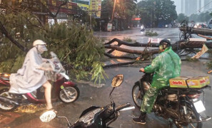 Mức độ nguy hiểm của bão số 3 Wipha khi duy trì gió mạnh cấp 10-11