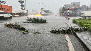 Bão Wipha giật cấp 11 cách Quảng Ninh 190km, khả năng mạnh lên 24 giờ tới