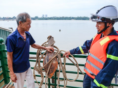 Công an hỗ trợ người dân ven sông Hồng neo thuyền, chằng nhà trước bão số 3