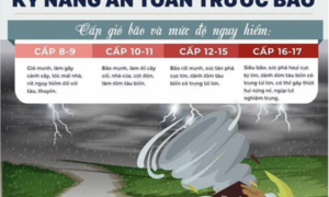 Hướng dẫn kỹ năng ứng phó với bão và mưa lũ sau bão