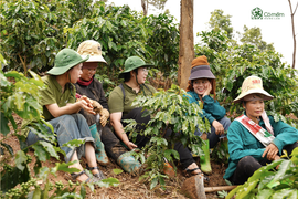 Cỏ Mềm - doanh nghiệp Việt và tiêu chuẩn toàn cầu