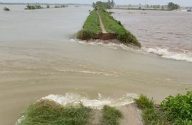 Hải Phòng: Vỡ đê bối cục bộ hữu sông Thái Bình 