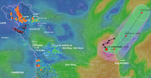 Bão số 4 năm 2025 tên gì, đang ở đâu trên Biển Đông?
