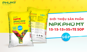 Phân bón Phú Mỹ ra mắt sản phẩm mới NPK PHÚ MỸ sử dụng 100% Kali Sulphate