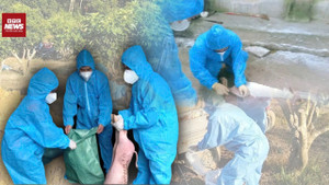 Tuyên Quang: Mua bán, vứt xác lợn bệnh, Chủ tịch xã, phường chịu trách nhiệm