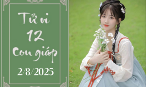 Tử vi 12 con giáp hôm nay ngày 2/8/2025: Sửu căng thẳng, Dần khó khăn