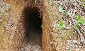 Cận cảnh những hầm vàng trái phép trong rừng phòng hộ Quảng Trị