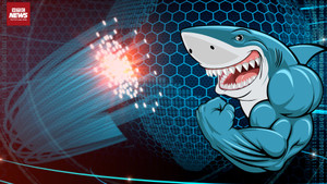 Vận hành cáp quang đất VSTN: Hết thời mạng chậm do cá mập cắn cáp 