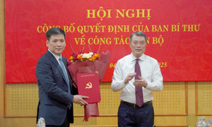 Ông Nguyễn Thanh Bình được bổ nhiệm giữ chức Phó Trưởng Ban Tổ chức Trung ương