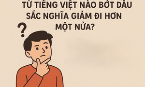 Quel mot en vietnamien, si l’accent est supprimé, voit son sens réduit de moitié ?