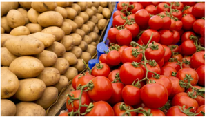 Bí mật 9 triệu năm: Khoai tây bắt nguồn từ cà chua và cây không củ ở Andes