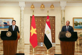 Tuyên bố chung về việc nâng cấp quan hệ lên đối tác toàn diện Việt Nam và Ai Cập