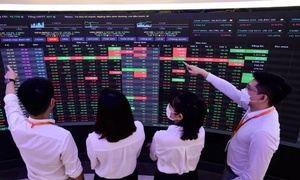 VN-Index highest ever