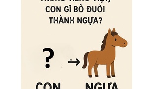 Câu đố tiếng Việt: Con gì bỏ đuôi thành con ngựa?