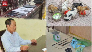 Kịch tính truy bắt nhóm trộm chó, dùng hung khí 'nóng'