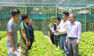 Kinh tế tập thể ở Tây Ninh: Bệ phóng bền vững từ những mô hình hợp tác hiệu quả