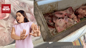 Rùng mình sau tủ đông: 2 tấn thịt lợn bệnh suýt lọt qua cửa kiểm dịch