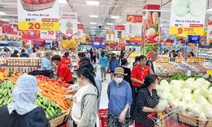 TP.HCM thu ngân sách đạt hơn 472.000 tỷ đồng trong 7 tháng