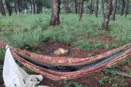 Phát hiện bộ xương người bên chiếc võng trong rừng thông Lâm Đồng