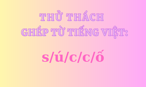 Câu đố ghép từ 'gây lú', đố bạn đoán được trong 10 giây
