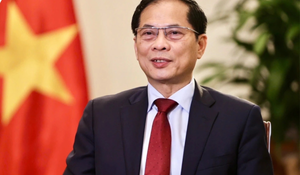 Phó Thủ tướng trả lời báo chí Hàn Quốc về chuyến thăm của Tổng Bí thư