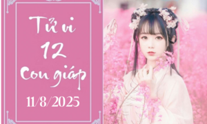 Tử vi 12 con giáp hôm nay ngày 11/8/2025: Dần chậm trễ, Mão khó khăn