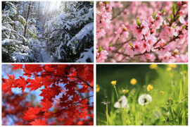 Vì sao các tiết khí dài ngắn khác nhau, xê dịch trong 14-16 ngày?