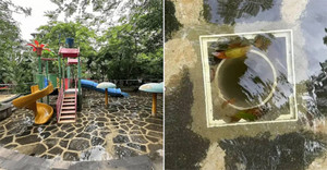 Bé gái tử vong do bị hút vào ống cống dưới bể bơi, không có nhân viên túc trực