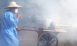 Người đi từ vùng dịch Chikungunya cần theo dõi sức khỏe 12 ngày