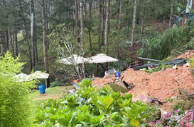 Taluy ở Đà Lạt đổ sập, đè chết 2 du khách đang ngồi uống cà phê