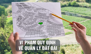Vi phạm quản lý đất rừng phòng hộ Sóc Sơn, cựu cán bộ Hà Nội đối mặt án tù