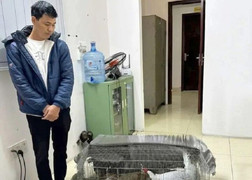 Vụ bị kết án 6 năm tù vì nuôi bán 13 con gà lôi trắng: Cán bộ Kiểm lâm Nghệ An nói gì? 