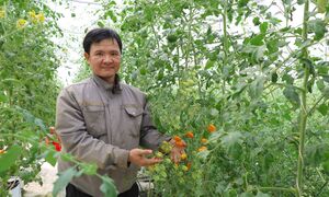 Tây Ninh vươn mình thành thủ phủ nông nghiệp công nghệ cao của phía Nam
