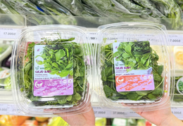 Giải pháp thực phẩm sạch từ mô hình nông nghiệp thẳng đứng của Havy Indoor Farm