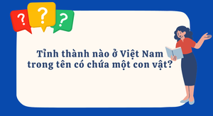 Tỉnh thành nào ở Việt Nam trong tên có chứa một con vật?