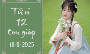 Tử vi 12 con giáp hôm nay ngày 18/8/2025: Dậu khởi sắc, Tuất chậm trễ