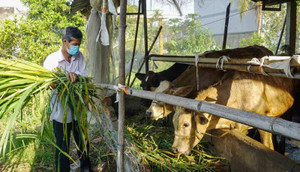 Tây Ninh dồn lực cho an sinh xã hội: Lan tỏa sức sống từ những mô hình cộng đồng