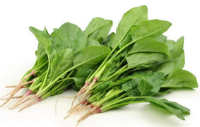 Những người nên hạn chế ăn cải bó xôi, nếu ăn phải chần để tránh gây sỏi thận