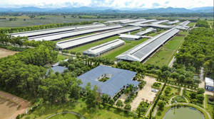 Việt Nam có thương hiệu sữa được đánh giá tiềm năng nhất toàn cầu