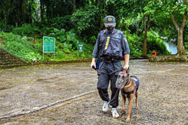 Tìm thấy thi thể nam du khách sau 6 ngày mất tích trong Vườn quốc gia Cúc Phương