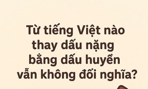 Từ Tiếng Việt nào thay dấu nặng bằng dấu huyền vẫn không đổi nghĩa?