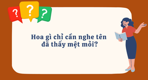 Hoa gì chỉ cần nghe tên đã thấy mệt mỏi?