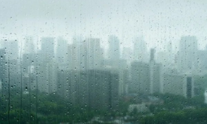 Loại mưa axit mới đang gây lo ngại cho giới khoa học