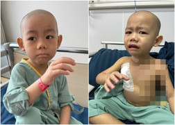 Mẹ sinh thêm em bé để ghép tủy cứu con trai mắc bệnh hiểm nghèo