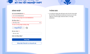 Hướng dẫn tra cứu trúng tuyển và xác nhận nhập học 2025 nhanh, chính xác nhất